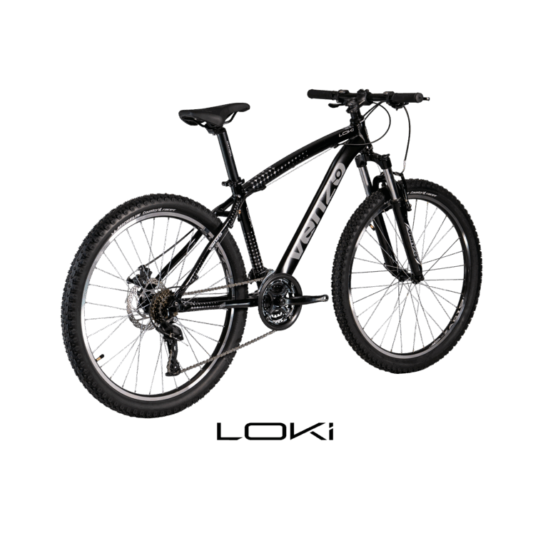 LOKI ROD-26 2025 – Grupo Carlos Karabitian